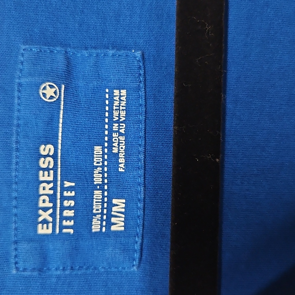 Blue V-Neck T-Shirt with White Lion Emblem - Picture 2 of 9